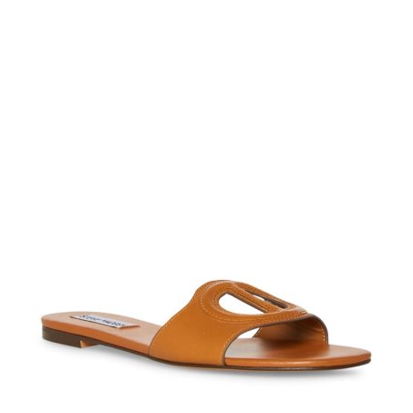 Brown Steve Madden Kylah Leather Women's Slides | PH 3148SNC